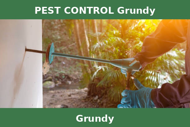 PEST CONTROL Grundy